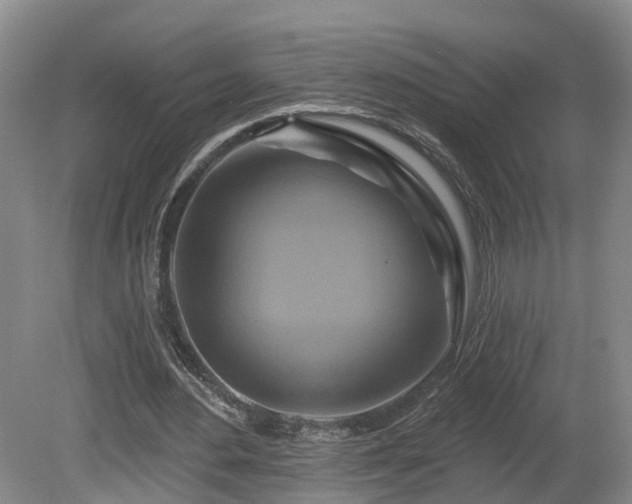 X0000081420484200701191600