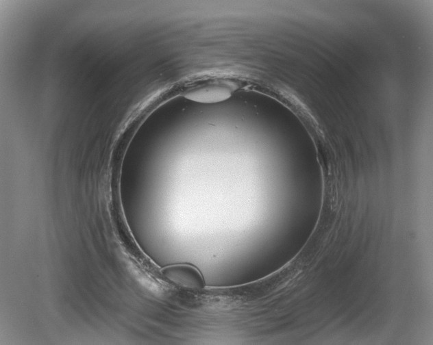 X0000081420486200701191600