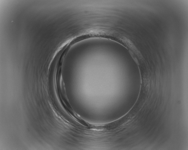 X0000081420488200701191600