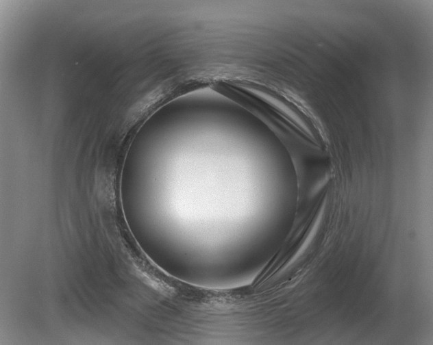 X0000081420489200701191600