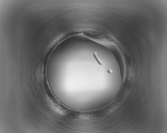 X0000081420490200701191600