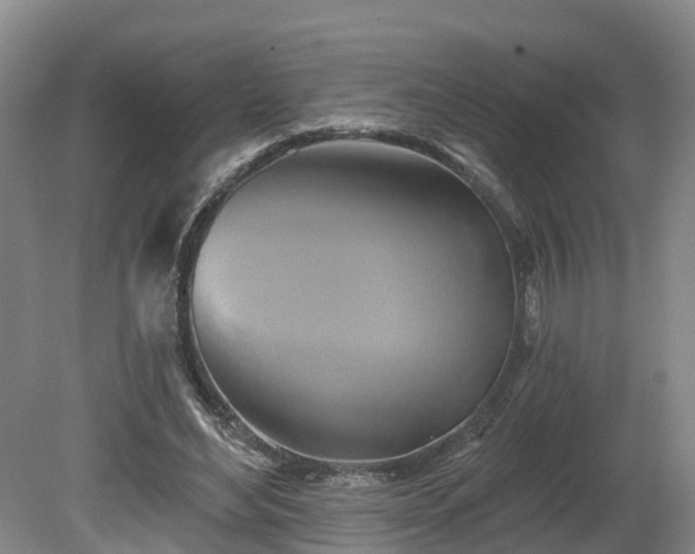 X0000081420492200701191559