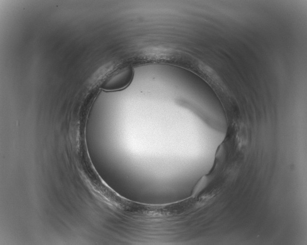 X0000081420494200701191559
