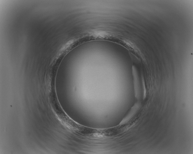 X0000081420496200701191559
