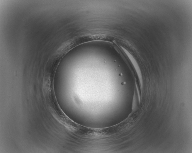 X0000081420498200701191559