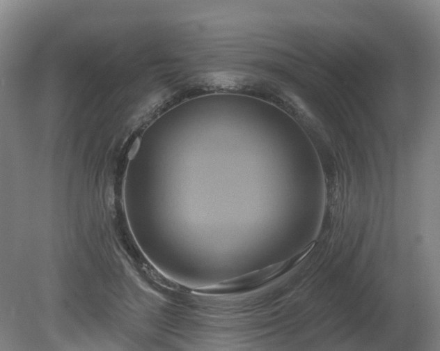 X0000081420500200701191559