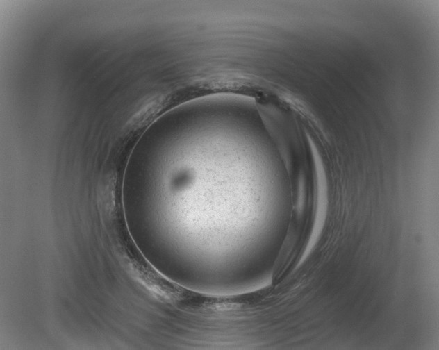 X0000081420501200701191559