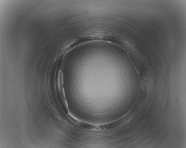 X0000081420504200701191559