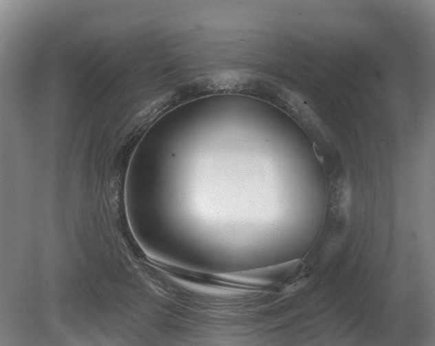 X0000081420505200701191559