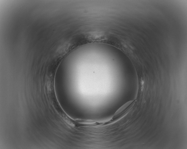 X0000081420515200701191559