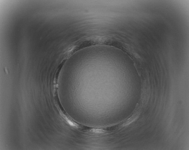 X0000081420528200701191559