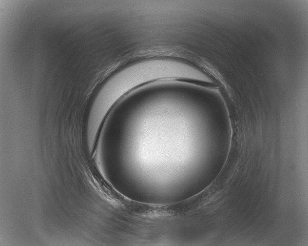 X0000081420537200701191558