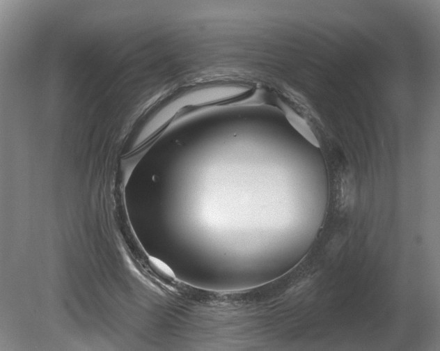 X0000081420538200701191558