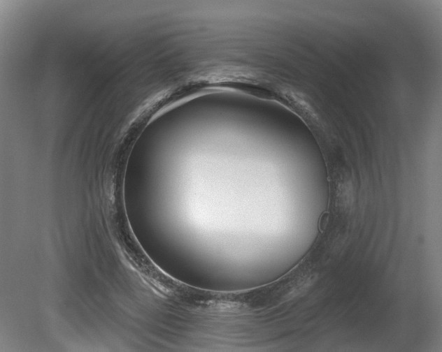 X0000081420539200701191558