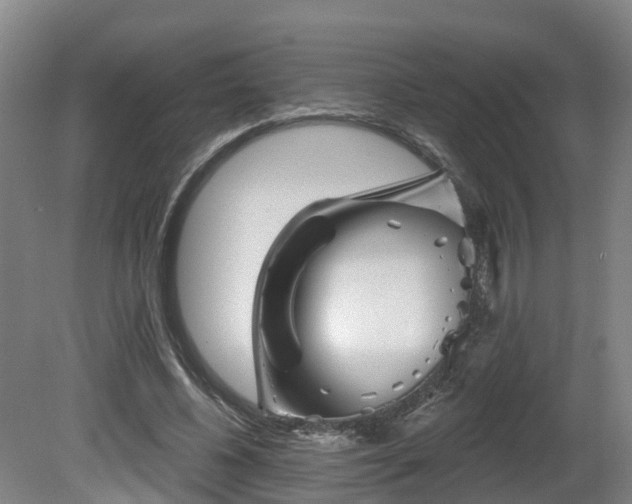 X0000081420540200701191558