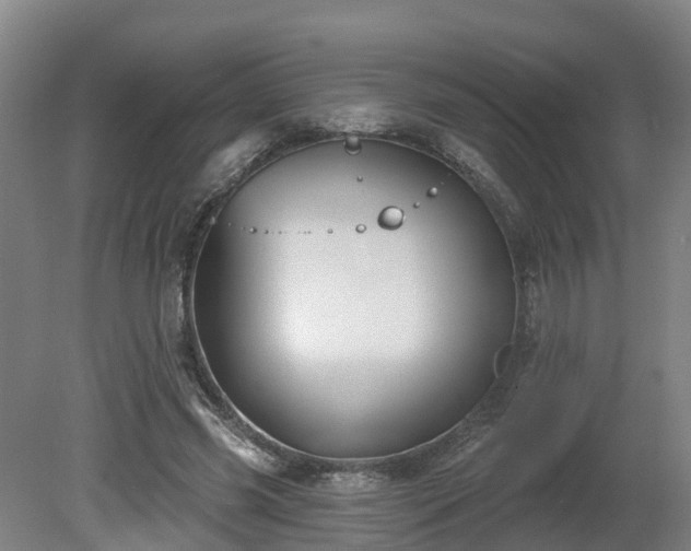 X0000081420541200701191558