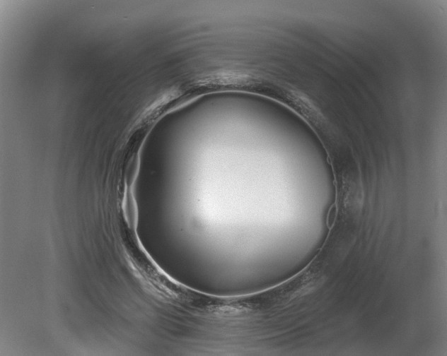 X0000081420542200701191558