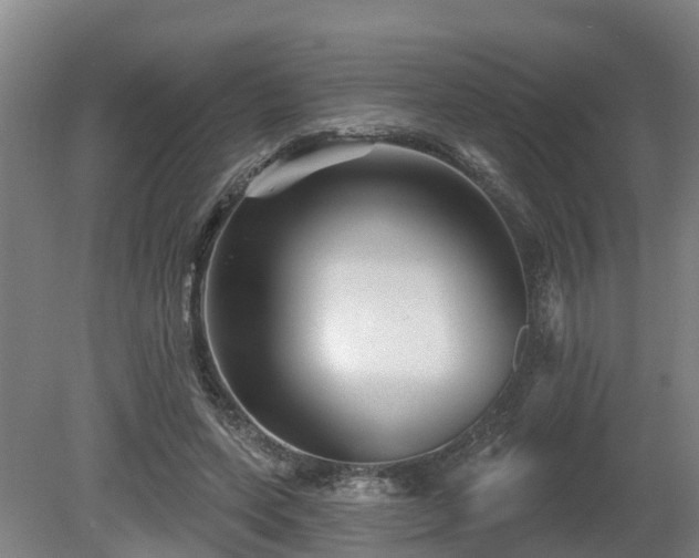X0000081420543200701191558