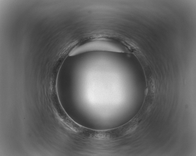 X0000081420546200701191558
