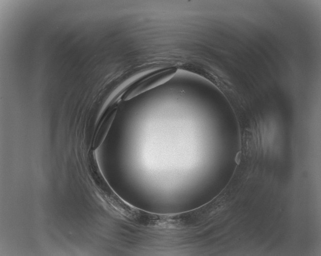 X0000081420550200701191558
