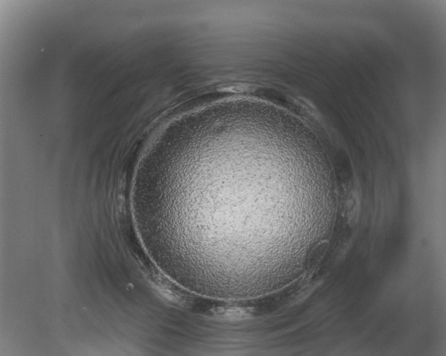 X0000081420553200701191558