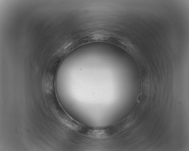 X0000081420554200701191558