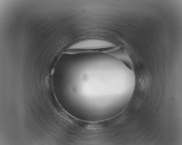 X0000081420556200701191559