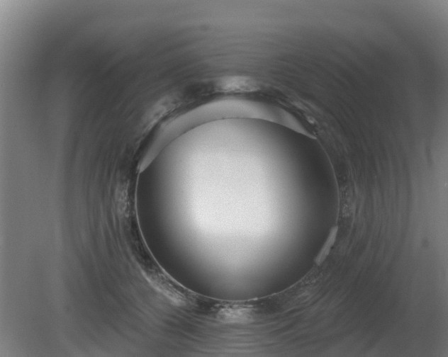 X0000081420560200701191559