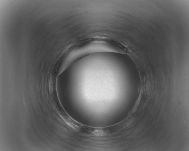 X0000081420562200701191559