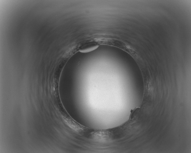 X0000081420567200701191559