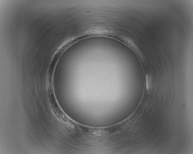 X0000081420579200701191558