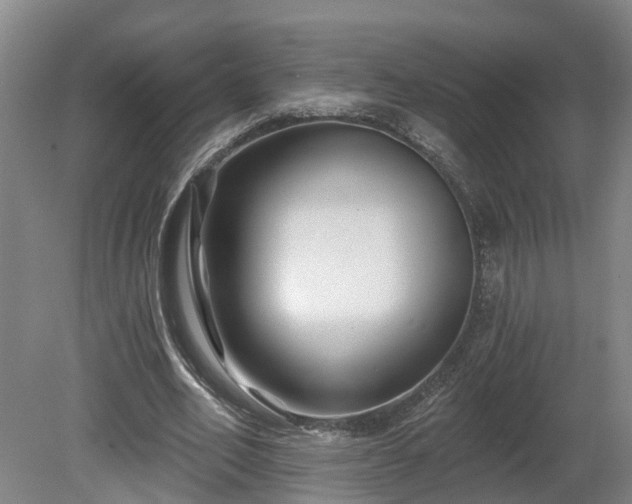 X0000081420582200701191558