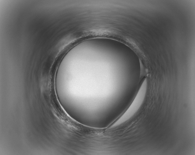 X0000081420583200701191558