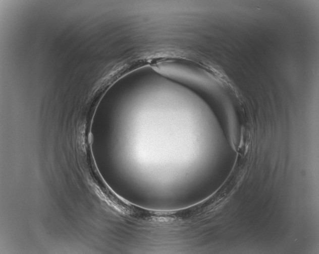 X0000081420585200701191558