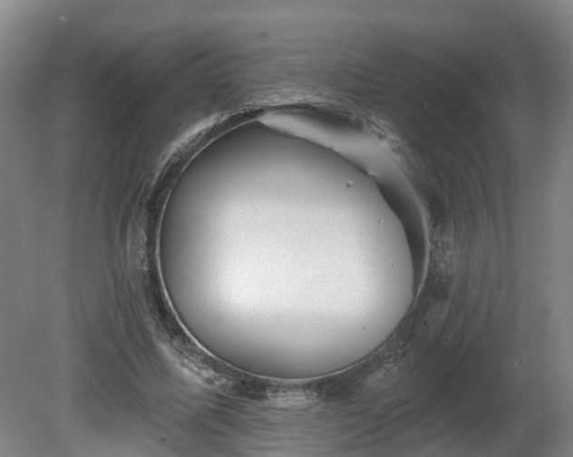 X0000081420587200701191558