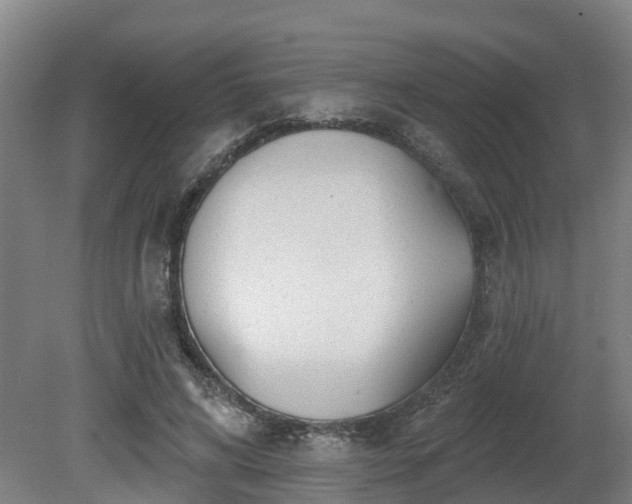 X0000081420592200701191558
