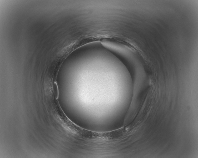 X0000081420593200701191558
