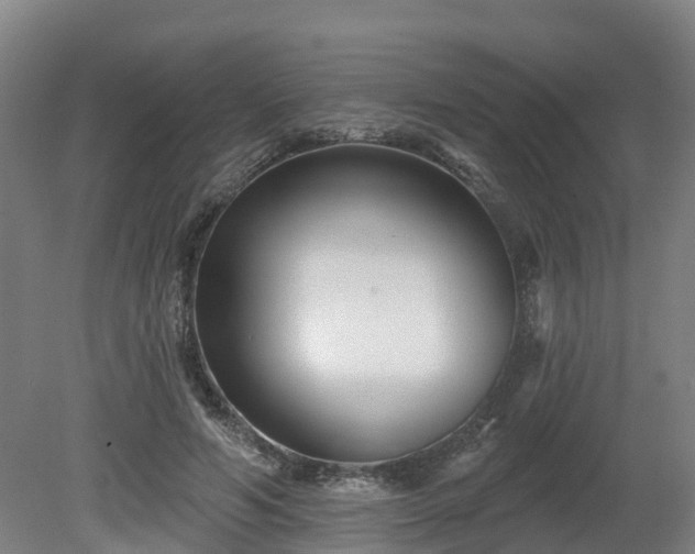 X0000081420594200701191558