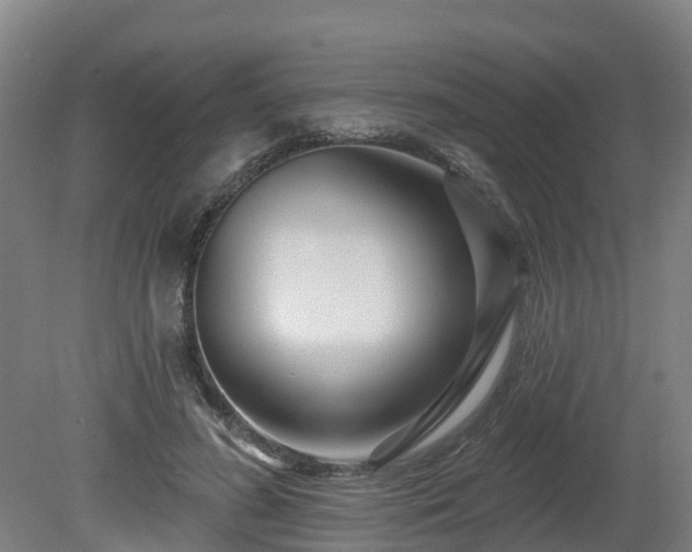 X0000081420596200701191558
