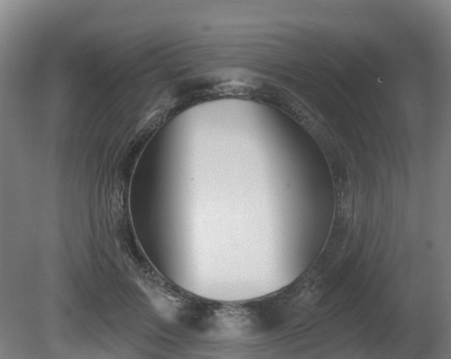 X0000081420603200701191558