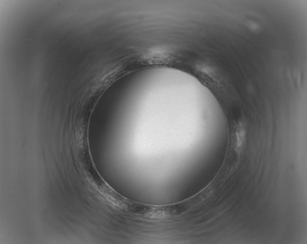 X0000081420604200701191558