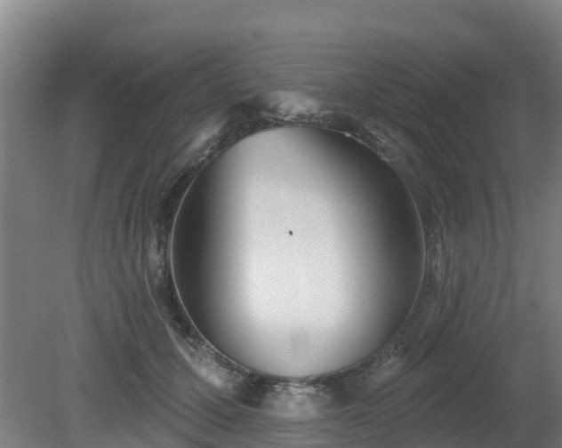 X0000081420607200701191558