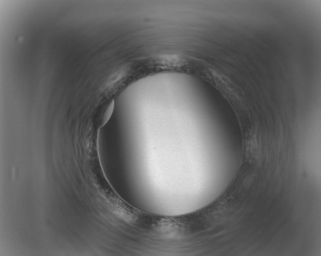 X0000081420608200701191558