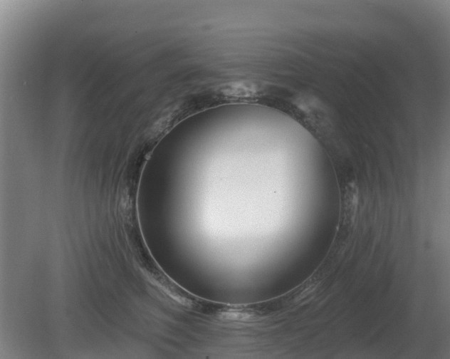 X0000081420614200701191557