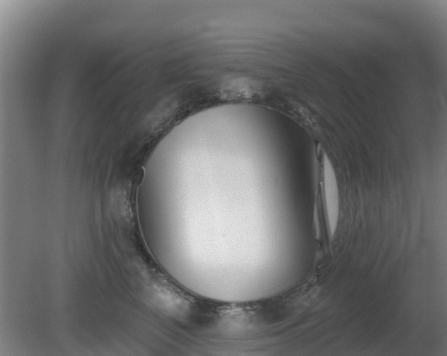 X0000081420616200701191557