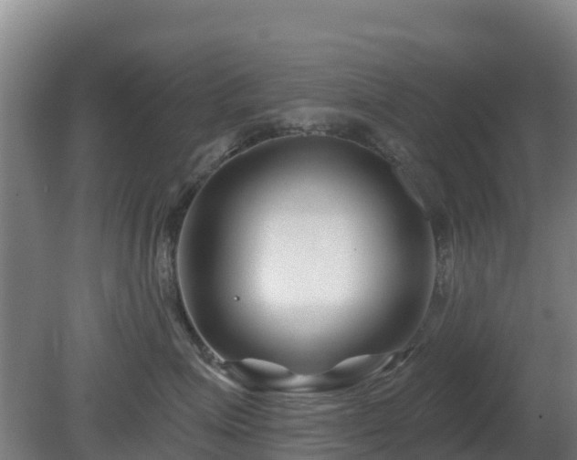 X0000081420623200701191557