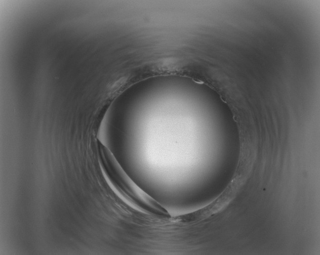 X0000081420624200701191557