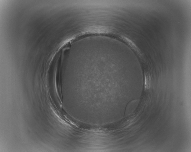 X0000081420627200701191556