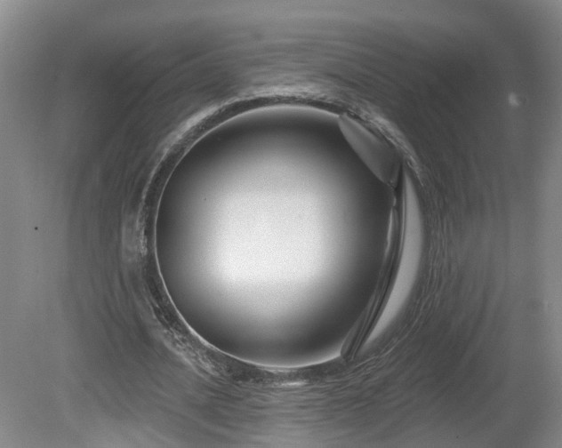 X0000081420628200701191557