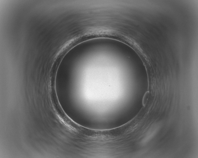 X0000081420629200701191557